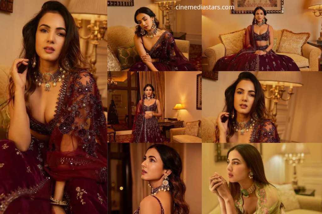 Actress Sonal Chauhan jaw-dropping in Lehenga Photoshoot Pictures