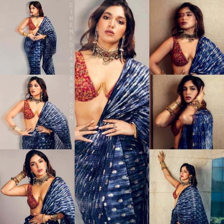 Bollywood actress Bhumi Pednekar Stunning Jaw dropping in gorgeous Bralette blouse with saree